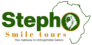 Professional Advetures Safari Logo - Made with PosterMyWall (2)